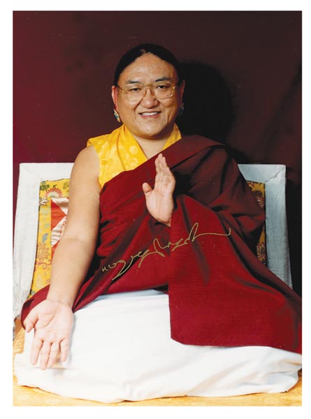 His Holiness in meditative composure